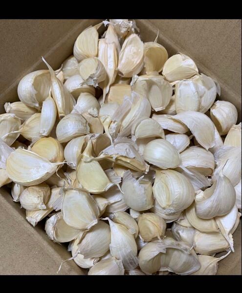 バラにんにく 大小粒にんにく800g ホワイト六片種にんにく 訳ありにんにく 青森県産にんにく 発根にんにく