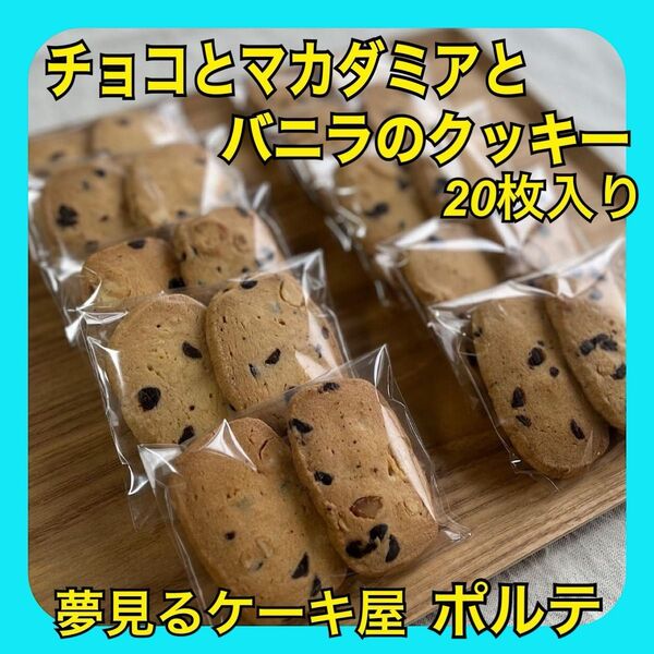 チョコ×マカダミア×バニラクッキー 20枚 Google口コミ星4.9 人気店