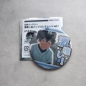 忘却バッテリー 激推し缶バッジ vol.1清峰葉流火 シークレット レア
