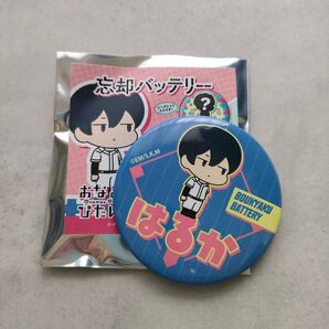 忘却バッテリー おなまえぴたんコ 清峰葉流火 缶バッジ