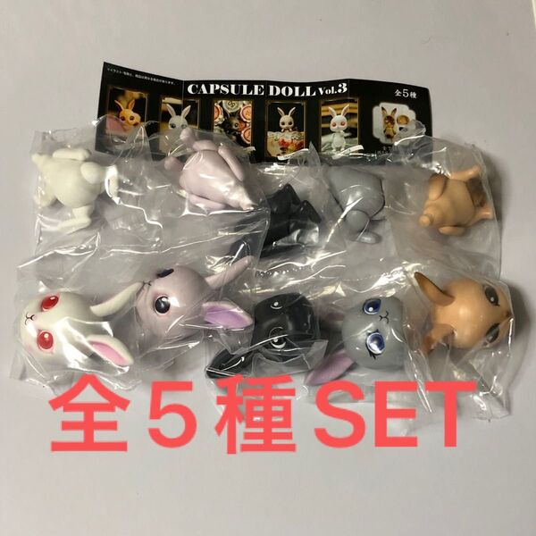 CAPSULE DOLL兎カプセルドールvol.3全5種SET
