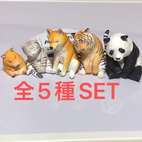 肩ズンFig.Animalsアニマルズ全5種SET
