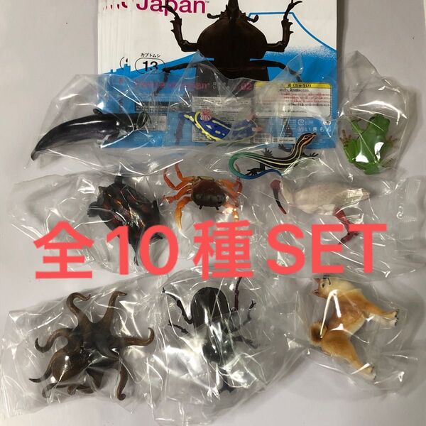 NTCNature of Japan日本のいきもの02全10種SET