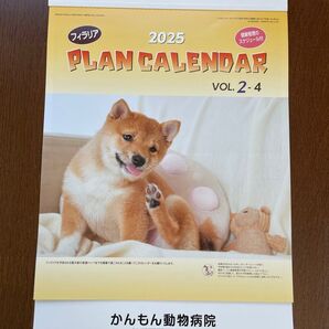 わんちゃんカレンダー 2025 壁掛けカレンダー