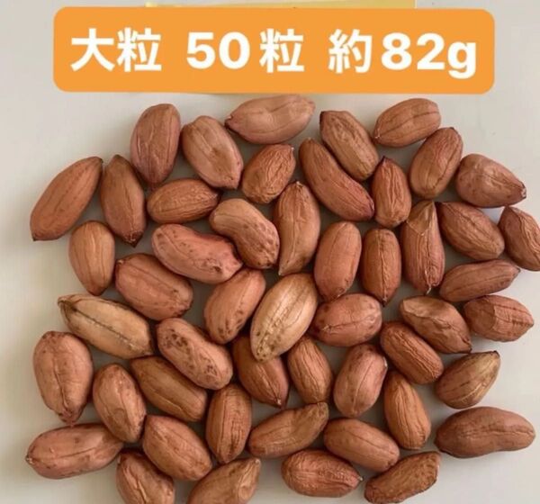 種★落花生種 大粒50粒 無農薬栽培
