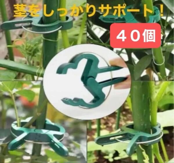 【40個】園芸クリップ、茎止めクリップ、植物茎固定クリップ