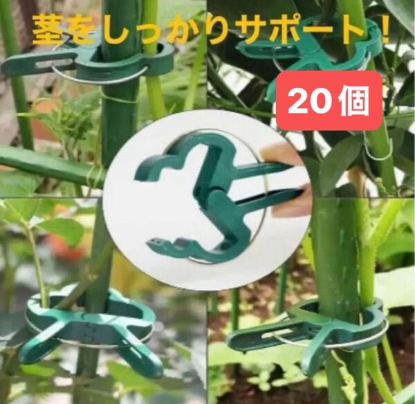 園芸クリップ、茎止めクリップ、植物茎固定クリップ 20個