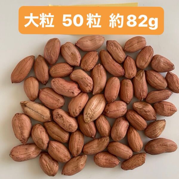 種★落花生種 大粒50粒 無農薬栽培