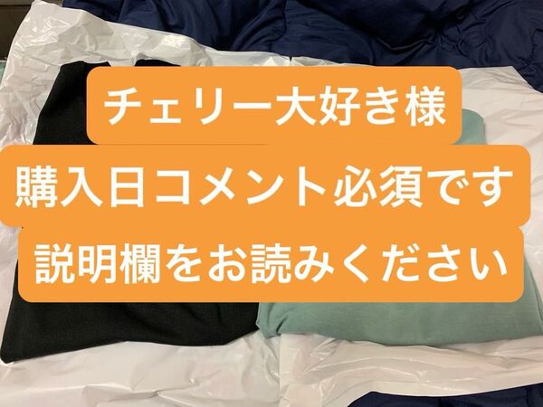 忍たま乱太郎 しまむら 刺繍Tシャツ 六年生 乱きりしん Mサイズ
