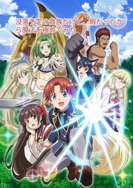 没落予定の貴族だけど、暇だったから魔法を極めてみた DVD 全6巻セット