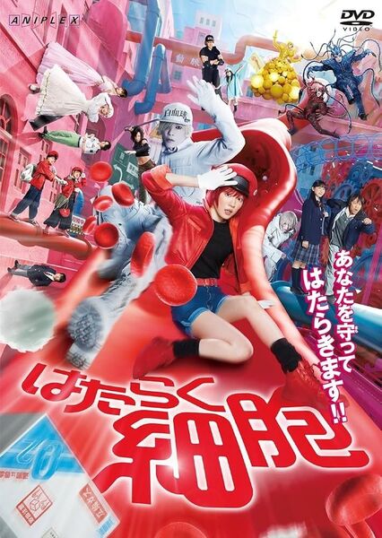 「はたらく細胞」DVD