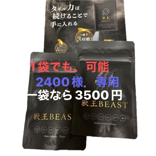 獣王BEAST 、一つでも可能。 お試しください。 お値段交渉可能です