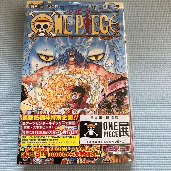 ONE PIECE 巻65 (ジャンプ・コミックス) 尾田栄一郎/著