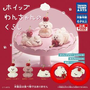 ホイップわんちゃんのくらし