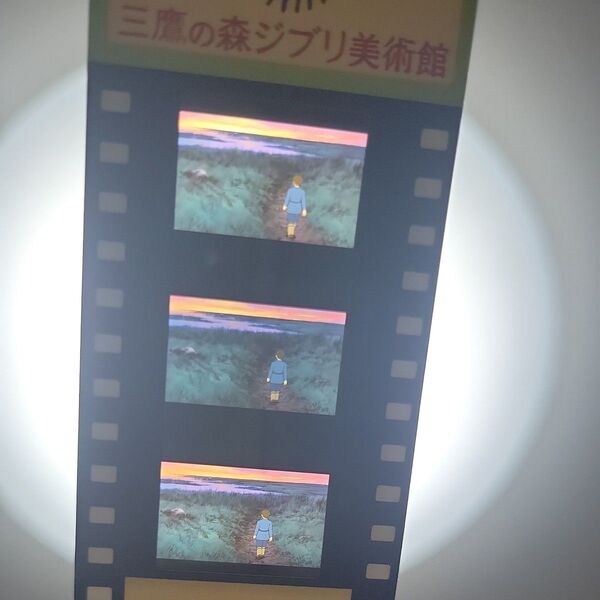 三鷹の森ジブリ美術館 入場券 フィルムチケット