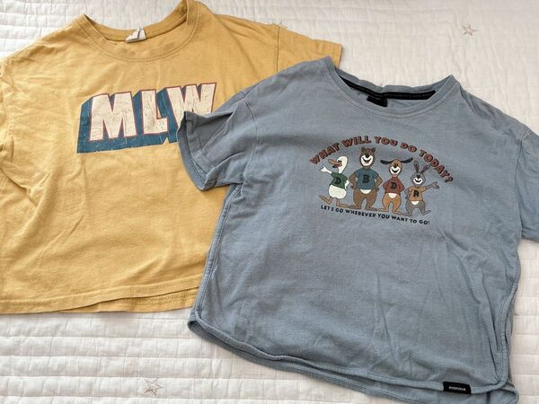 男の子 110 2点 おまとめ ( 半袖Tシャツ バースデイ MyLittlewonder)