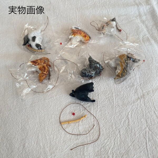 釣り 猫 フィギュア ガチャ 7種類 水槽 置物 カプセルトイ アクアリウム ねこ インテリア 猫のひまつぶし 新品 未使用