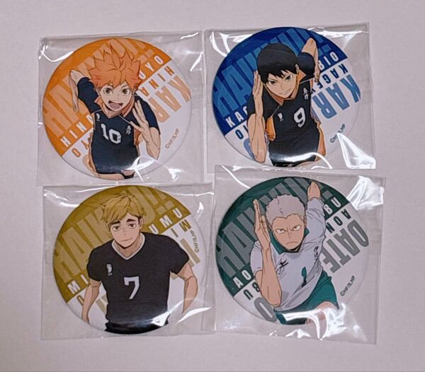 ハイキュー 10thイベント NEXT STEP 缶バッジ 日向翔陽 影山飛雄 宮侑 青根高伸