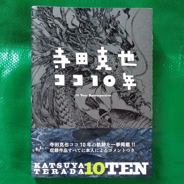 寺田克也ココ10年 寺田克也/著