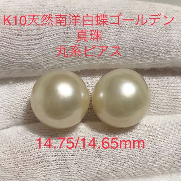 K14WG 天然南洋白蝶ゴールデン真珠 丸系ピアス 14.75/14.65mm