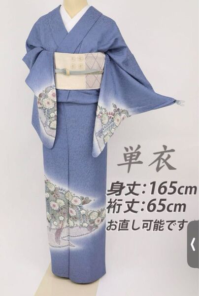 ほつれ直し&丸洗済み!単衣 訪問着 トールサイズ 正絹