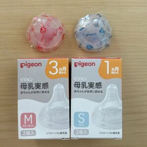 Pigeon ピジョン