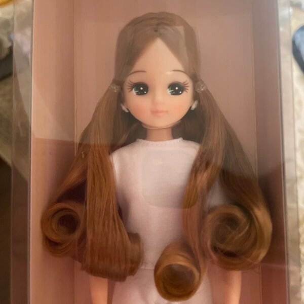 新品未開封★お顔厳選★2014年度クリスマス リカちゃん リカちゃんキャッスル