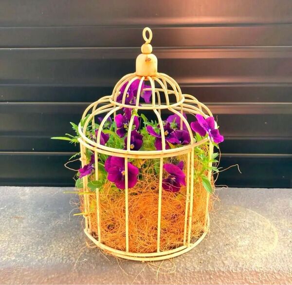 お花 寄せ植え 鳥かご 母の日 寄せ植え
