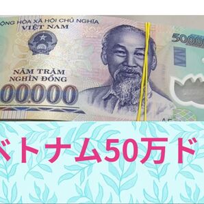 【即発送可】ベトナム50万ドン 10枚