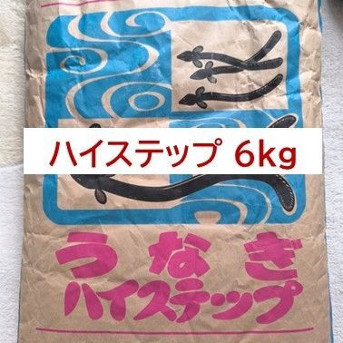【送料無料】林兼産業 ハイステップ 6kg うなぎの餌 ウナギの餌 鰻の餌 練り餌 稚魚小魚