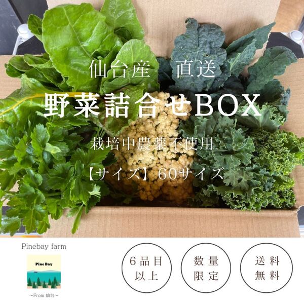 季節の野菜セット 60サイズ 6種以上 栽培中農薬不使用