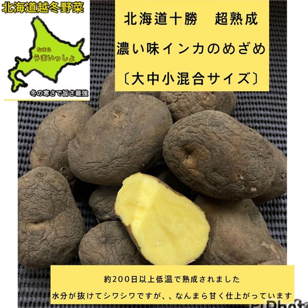 北海道2025年【北海道十勝超熟成濃い味インカのめざめ〔大中小混合サイズ〕シワあります】約900g