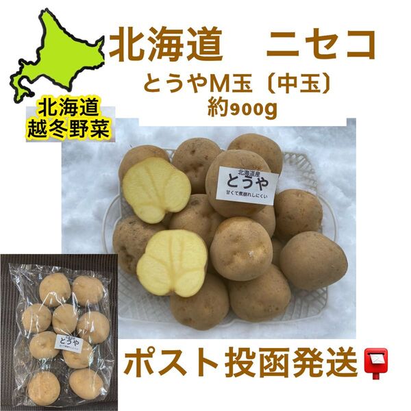 北海道2025年【北海道羊蹄山麓 道民大好き希少なとうやM玉〔中小〕】約900g ゆうパケットポスト投函発送