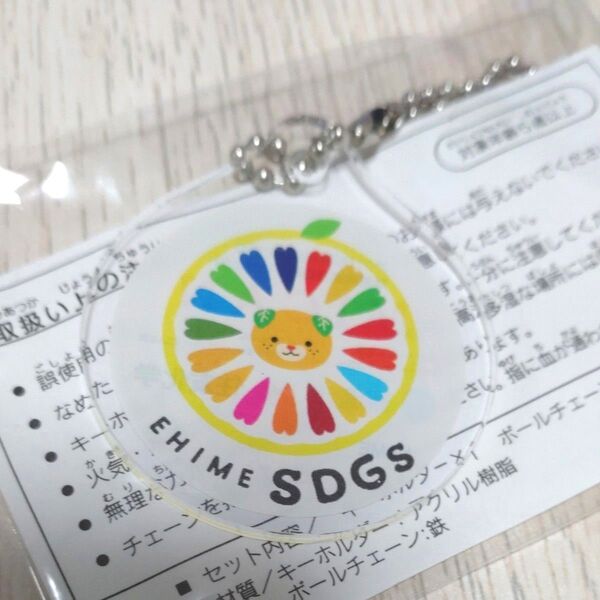 みきゃん ゆるキャラ アクリルキーホルダー アクキー キーホルダー 非売品 SDGs かわいい 愛媛