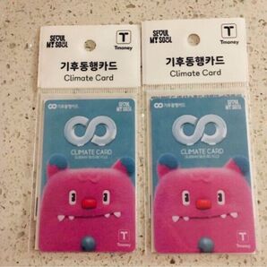 韓国 気候同行カード 2枚セット 新品未使用