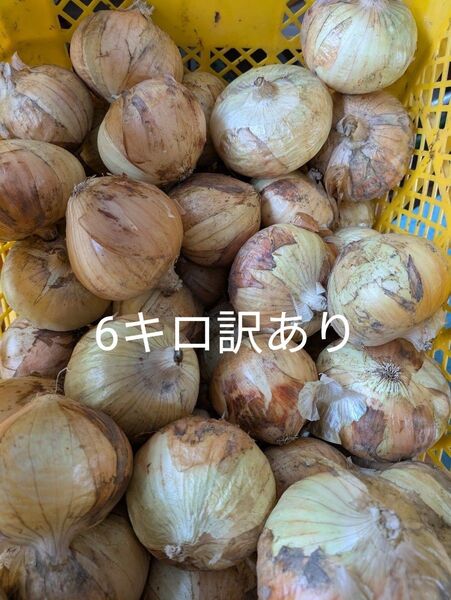 新玉ねぎ 浜松産 黄玉 6キロ訳あり