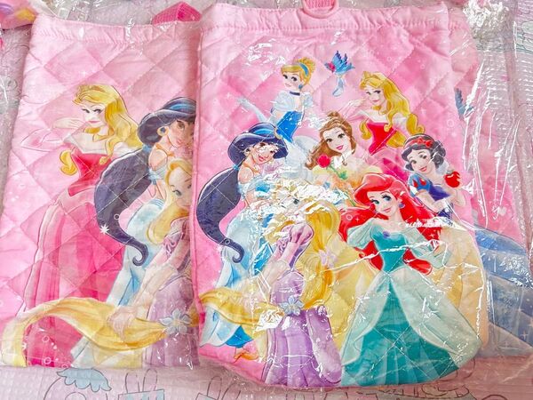 ディズニープリンセス レッスンバック 小学生 手提げ袋 上靴入れ