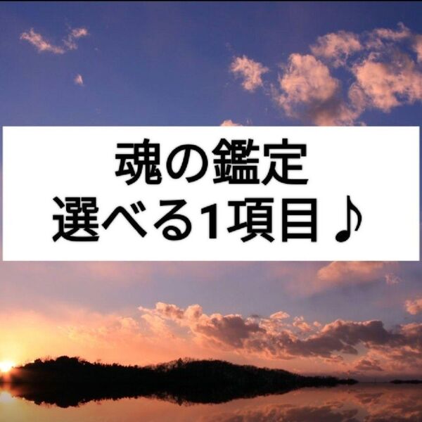 お試し*あなたの魂を鑑定します 選べる1項目/霊視にて人生の目的・仕事・才能など