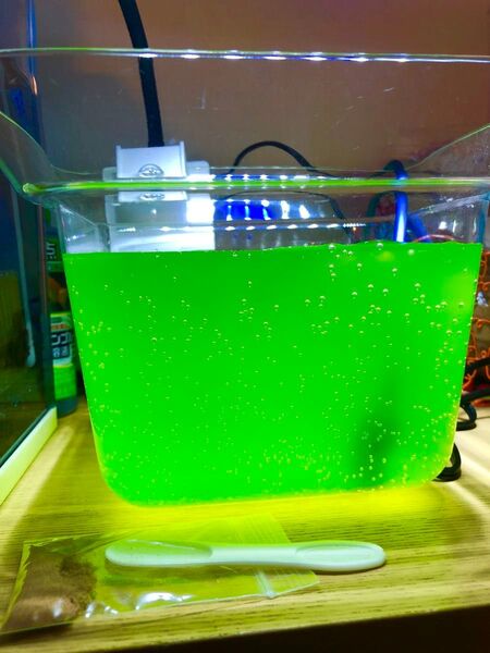 グリーンウォーター 種水 6000ml メダカ 金魚 針子 稚魚 鯉 栄養 青水 産卵 越冬 色上げ 卵 餌 フード 発色