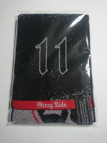 straykids dominate チャンビン エコパ マフラータオル スキズ ストレイキッズ