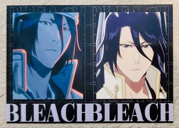 BLEACH ブリーチ ジャンフェス インスタントフォト風ブロマイド 朽木白哉 ジャンプフェスタ theキャラ チェキ