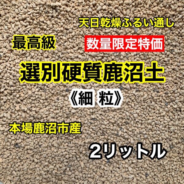 多肉植物の土 サボテンの土 多肉植物用土 硬質鹿沼土(細粒)