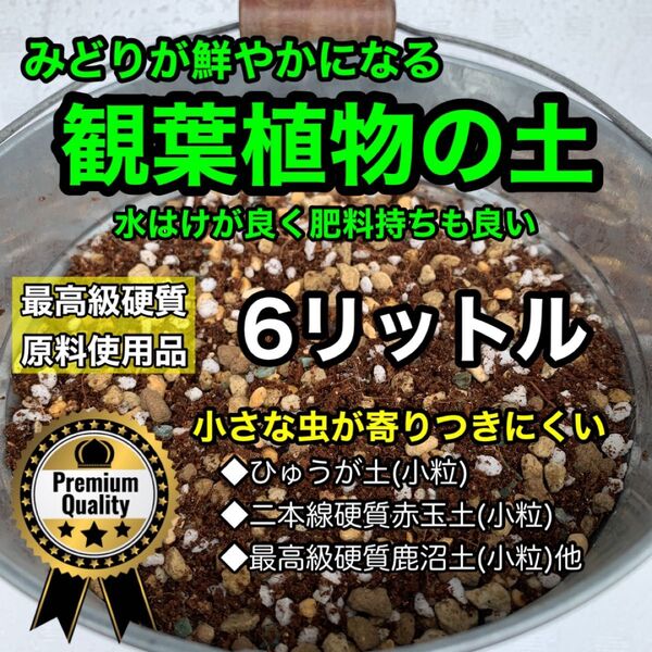 観葉植物の土 観葉植物用土 観葉植物培養土みどりが鮮やかになる 観葉植物の土 6リットル