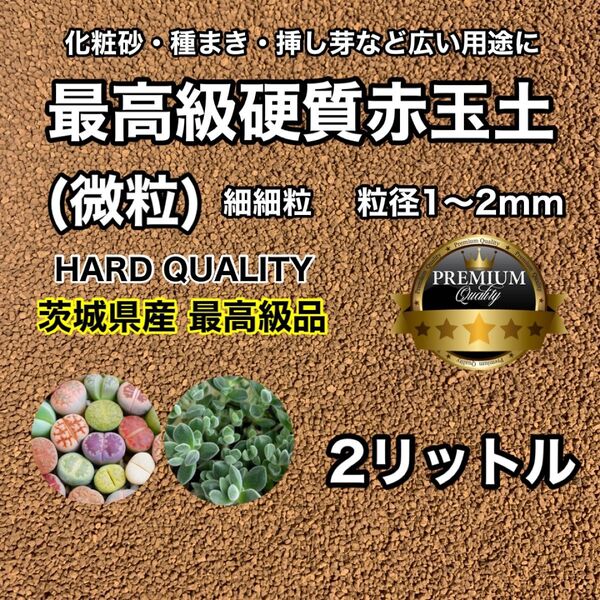 多肉植物の土 サボテンの土 多肉植物用土 塊根植物の土 ミニ盆栽 挿し木 小品盆栽 サボテンの実生 幼苗 メセン