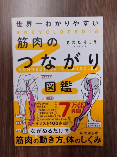 世界一わかりやすい筋肉のつながり図鑑 きまたりょう/著