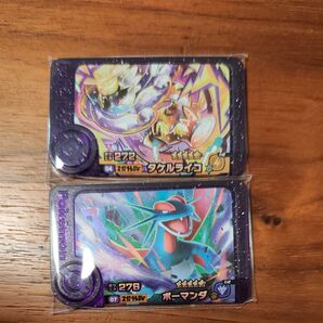 ポケモンフレンダ 第5弾 ボーマンダ タケルライコ
