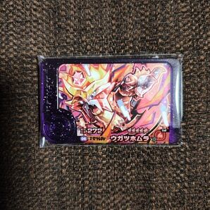 ポケモンフレンダ 第5弾 スーパートレジャー レア枠 ウガツホムラ