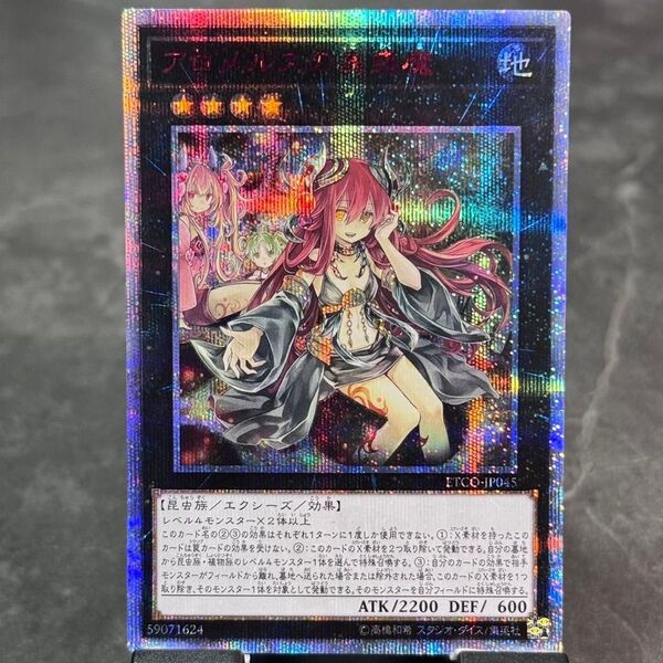 【説明欄必読】【値下げ不可】遊戯王 アロメルスの蟲惑魔 20th プリズマ クオシク ETCO