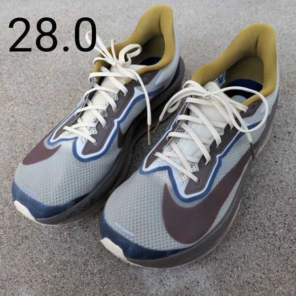 NIKE ズームフライ6 ランニングシューズ ZoomFly6 カーボン ナイキ スニーカー