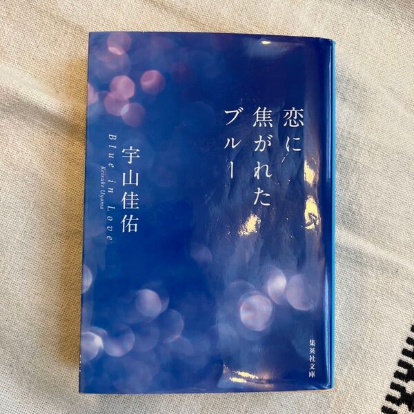 恋に焦がれたブルー (集英社文庫 う23-5) 宇山佳佑/著